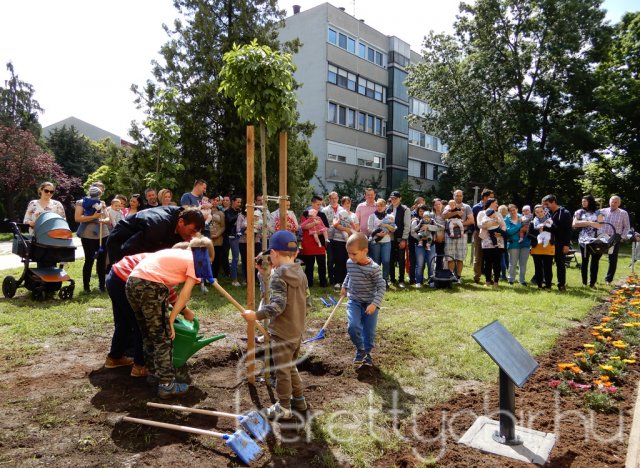 Életfát ültettünk 33